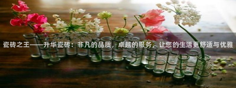 和行记义工网官网：瓷砖之王——升华瓷砖：非凡的品质，卓越的服务，让您的生活更舒适与优雅