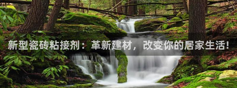 和记怡情视频在线官网：新型瓷砖粘接剂：革新建材，改变你的居家生活!