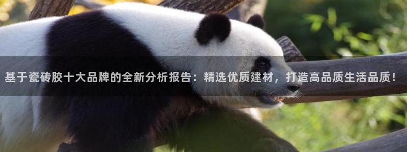 和记娱乐h88官网约凯发来就送68