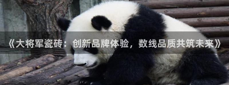 hgc和记官网