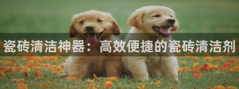 和记怡情视频在线官网