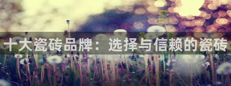 和记3官网