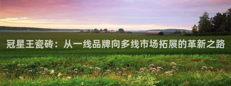 和记娱实惠h88285官网