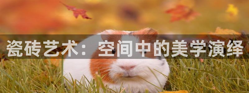 和记娱乐 怡情搏娱官网