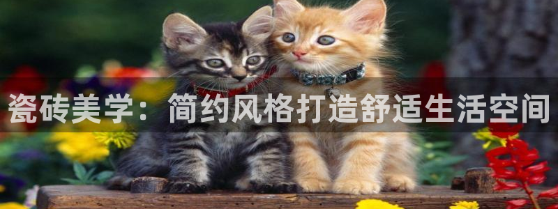 缅甸和记平台官网