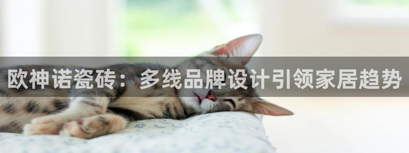 和记hgc官网