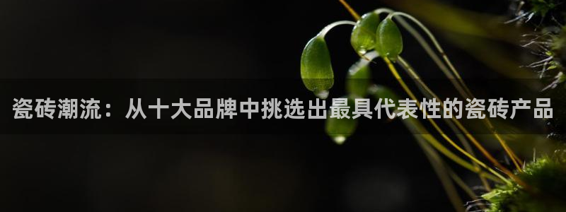 和记手机客户端官网