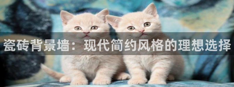 和记大合城dk2官网