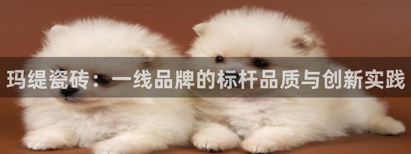和记大合城dk2官网