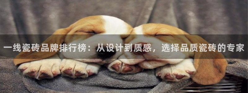 和记港口官网