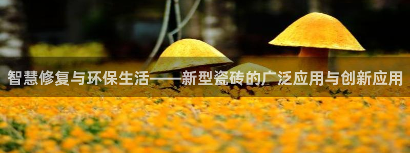 澳门和记 官网