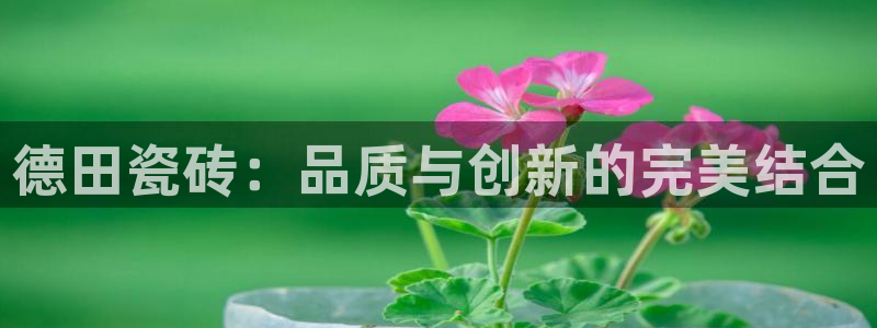 胡和记面官网