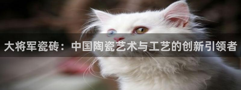 和力记易官网