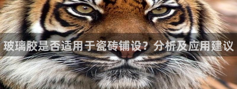 和记国际电讯官网