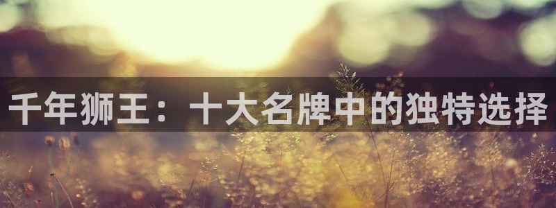 和记备用网官网开户