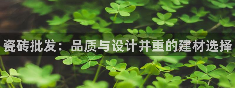 和记娱哪个位置h88285官网