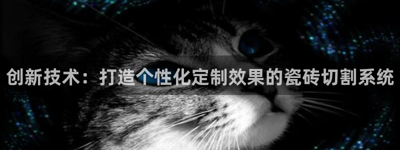 和记怡情h88官网中文版