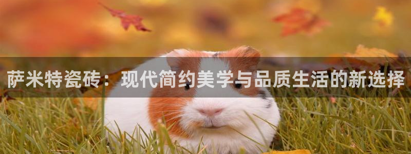 和记手机官网
