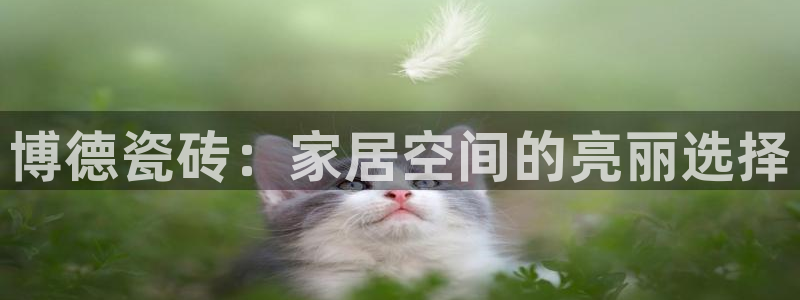 白云 和记黄埔官网
