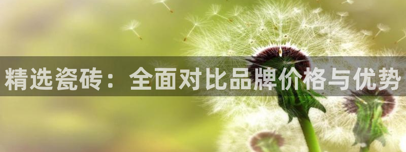 和记h188怡情官网