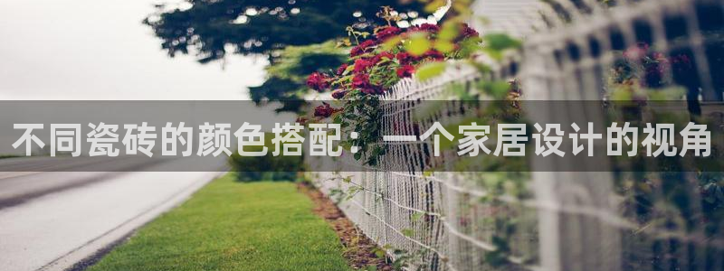和记3官网