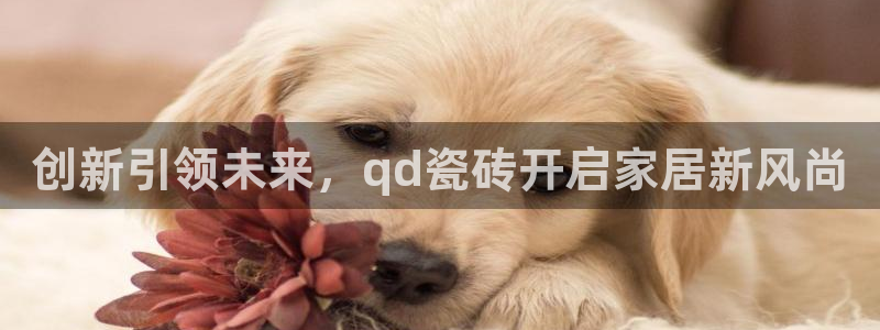 小金库钱包app下载官网和记