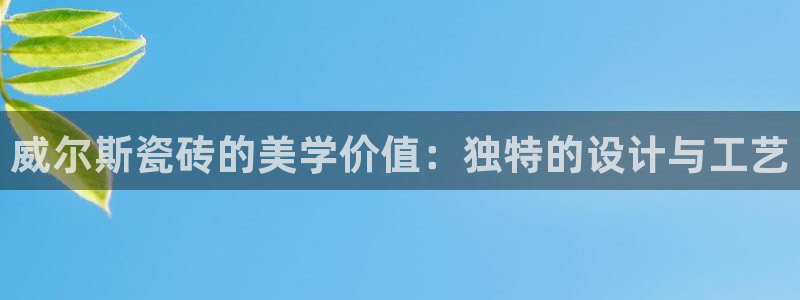 和记旗舰官网