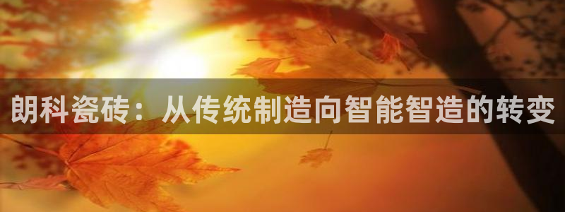 和记官网手机