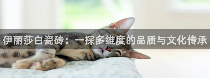 重庆和记黄埔官网