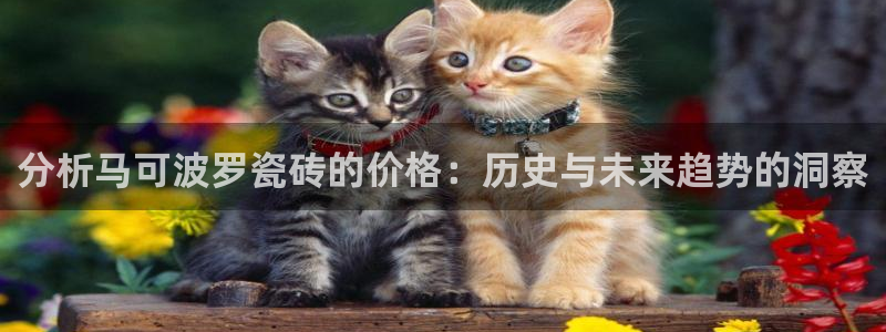 和记港口官网