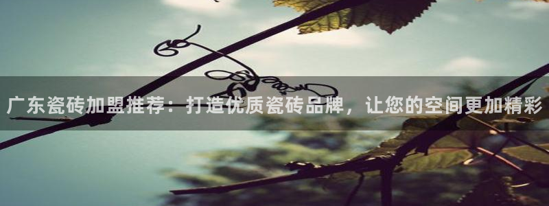 和记怡情官网入口