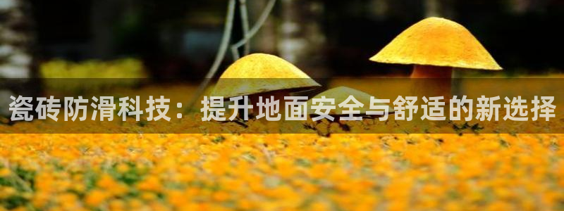 和记娱要多少钱h88285官网