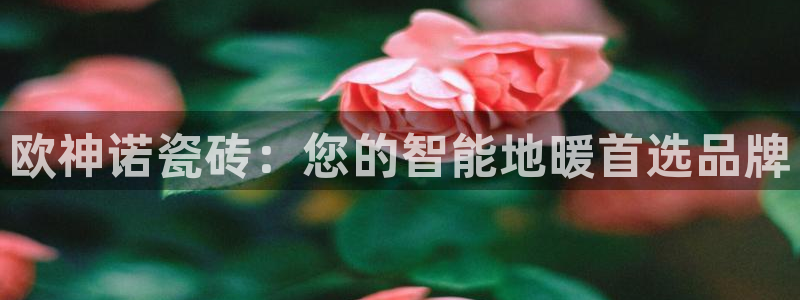 和兴记官网