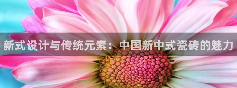 和记国际平台官网