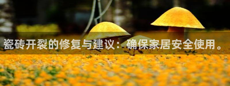 和记官网手机版