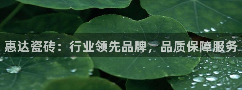 和记电讯APP官网充值