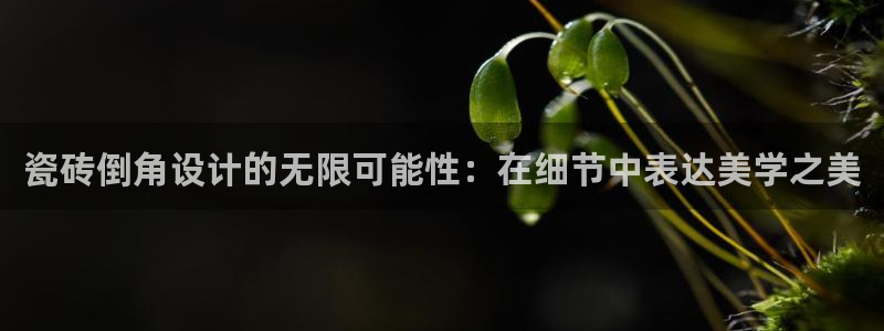 和记官网平台
