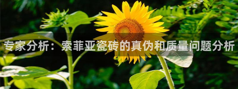 和记官网怡情娱乐