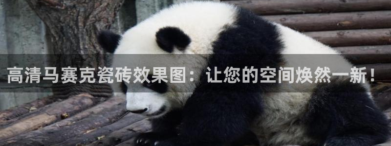 和行记义工网官网